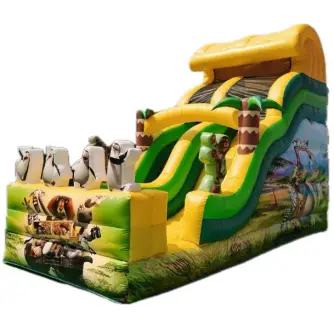 Tobogan Gonflabil Madagascar