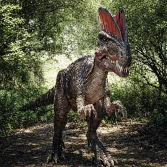 Dinozaur Animatronic Dilophosaurus– 5m