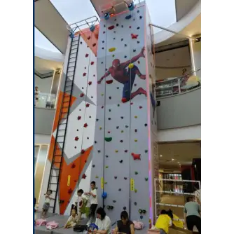 Perete de Cățărare Indoor – Model Spider