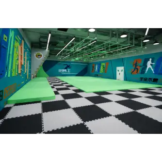 Warrior Training Zone – Parcurs Profesional de Obstacole Indoor